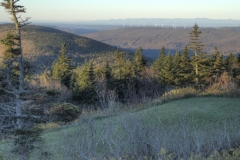 2012-10-13 - Hiking at Mount Greylock