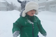 2016-01-23-24 - Snowmageddon 2016
