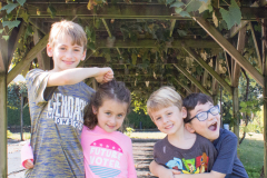 2019-09-22- Pear picking